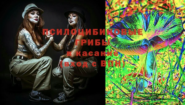 mdpv Кодинск